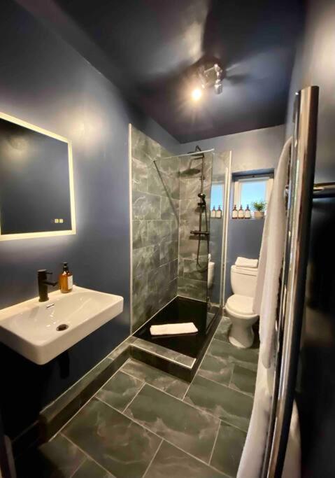 Stylish Studio For 3 Near Regents Park N4 London Exterior photo