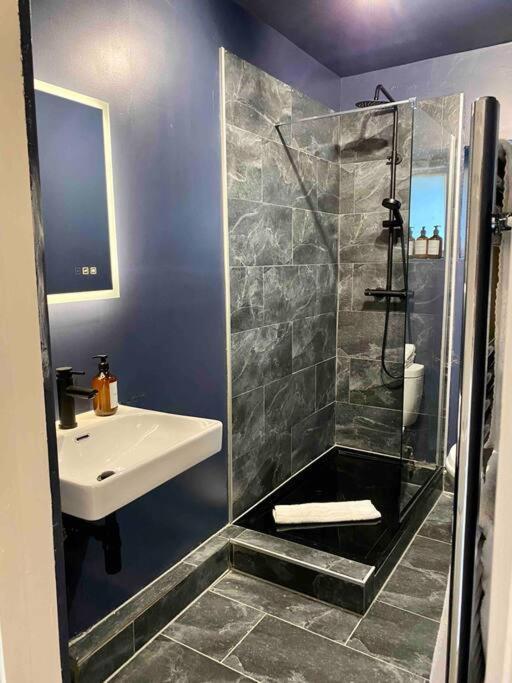 Stylish Studio For 3 Near Regents Park N4 London Exterior photo