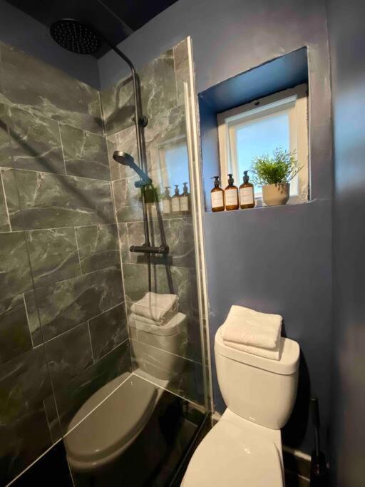 Stylish Studio For 3 Near Regents Park N4 London Exterior photo